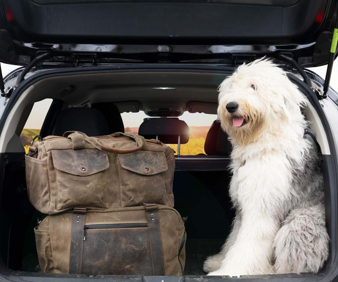 Road Trip Ready: Best Bags for Road Trips