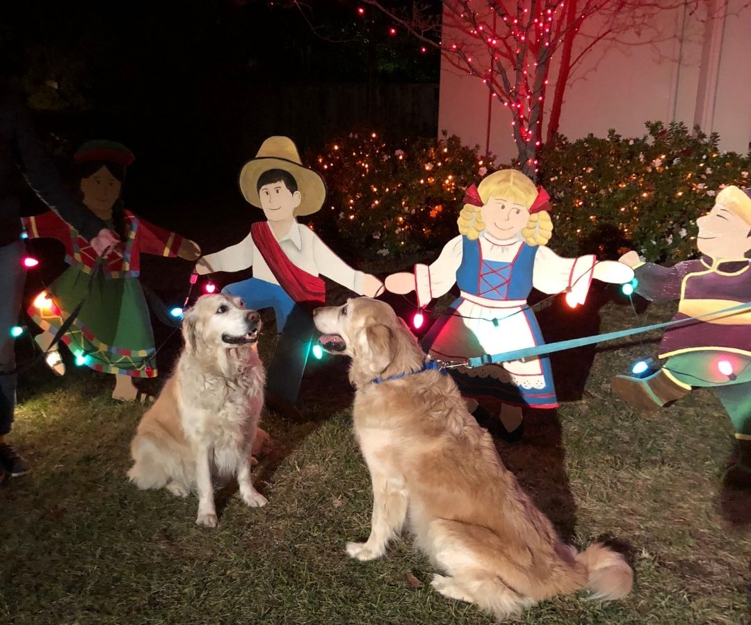Keep your human on a good leash