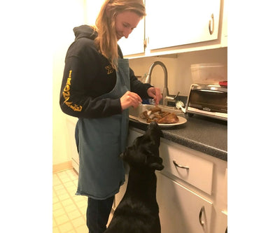 Holiday kitchen help for your humans