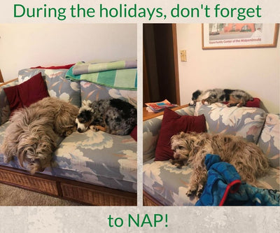 Don't forget to nap!