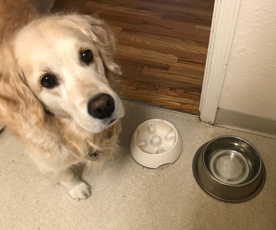 So many ways to get food!
