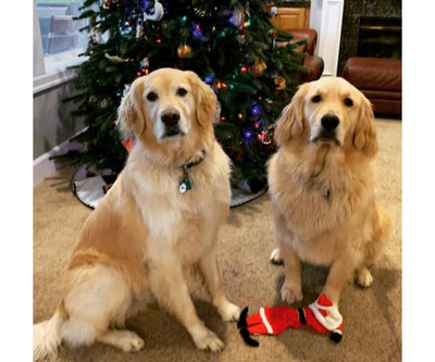 When can we open presents???