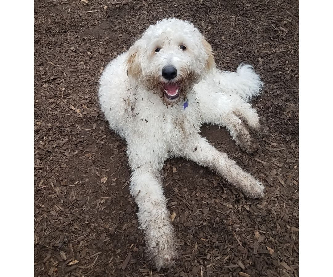 Have fun getting dirty and getting clean!