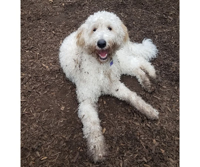 Have fun getting dirty and getting clean!