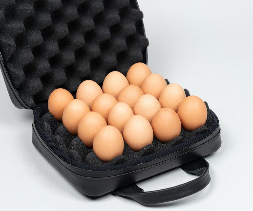 Fits up to 16 eggs